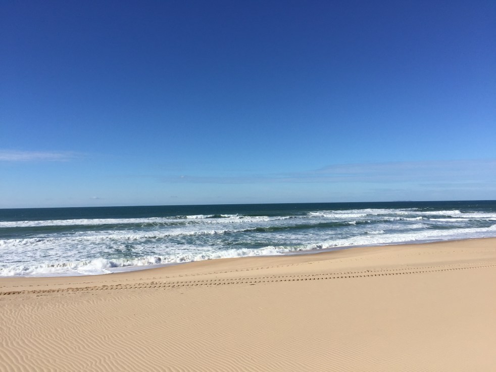 A8C2256B-D9F2-4858-B89E-0AF2F8659BD8