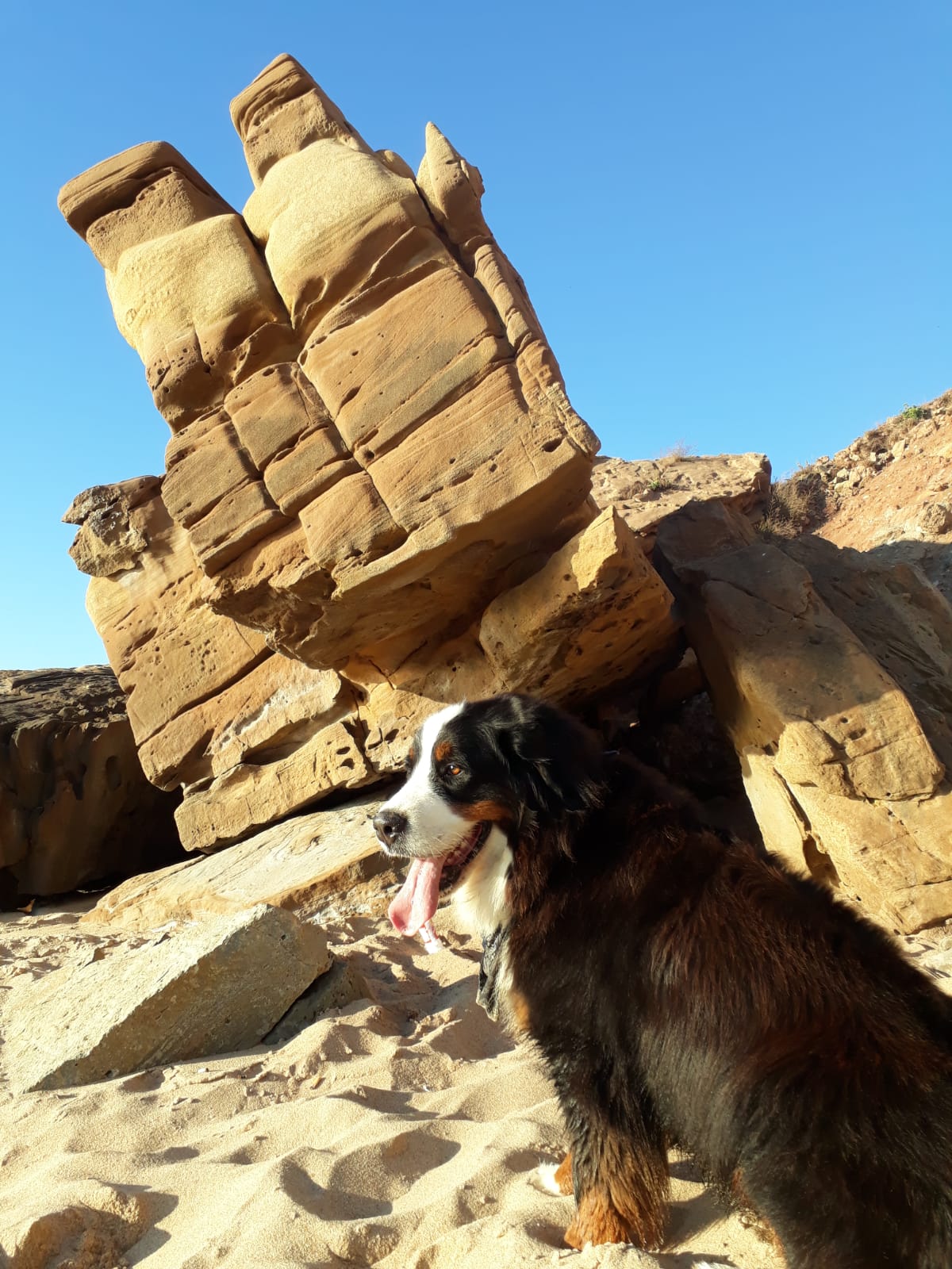 EF413A61-CFC7-40B4-AC00-244C422436BE